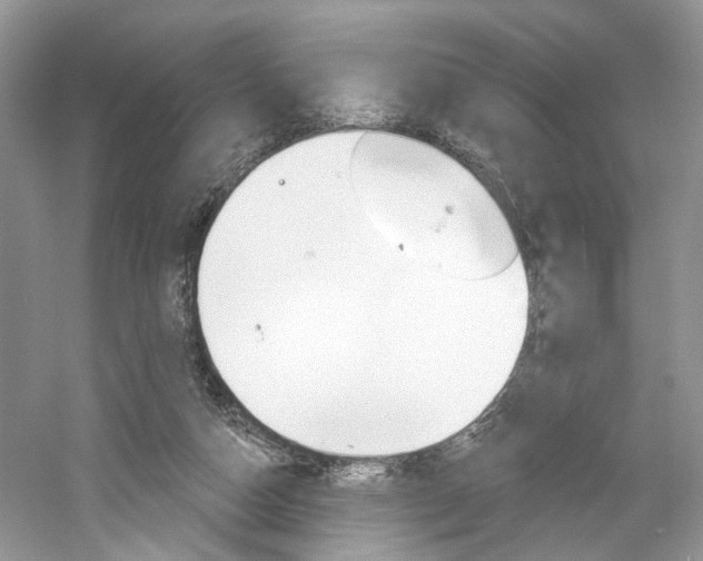 X0000061100162200511180917