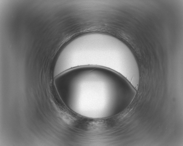 X0000061100164200511180917