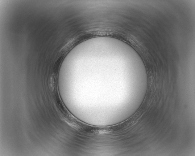 X0000061100165200511180917