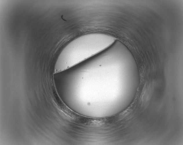 X0000061100166200511180917