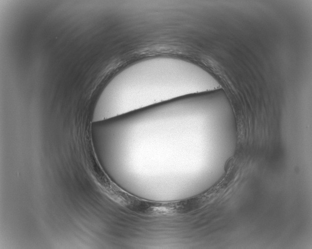 X0000061100167200511180917
