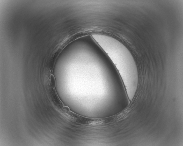 X0000061100168200511180917