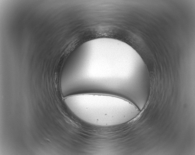 X0000061100174200511180917