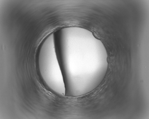 X0000061100194200511180917