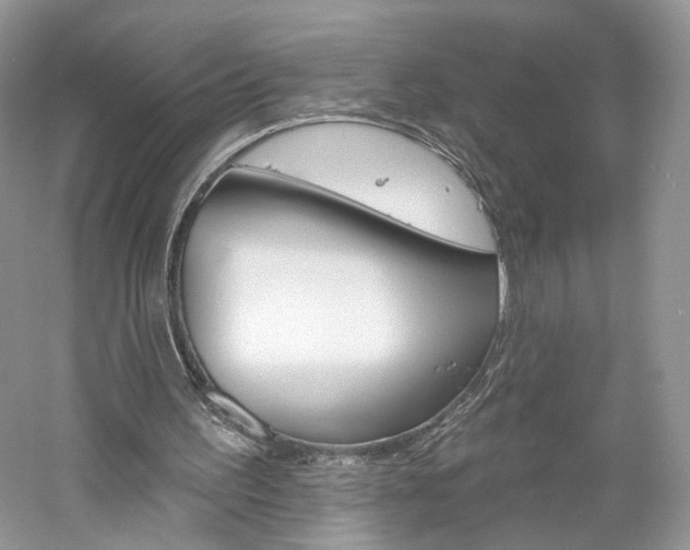 X0000061100195200511180917
