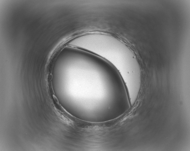X0000061100197200511180917