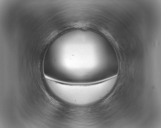 X0000061100201200511180917