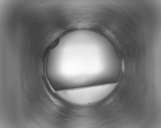 X0000061100205200511180916
