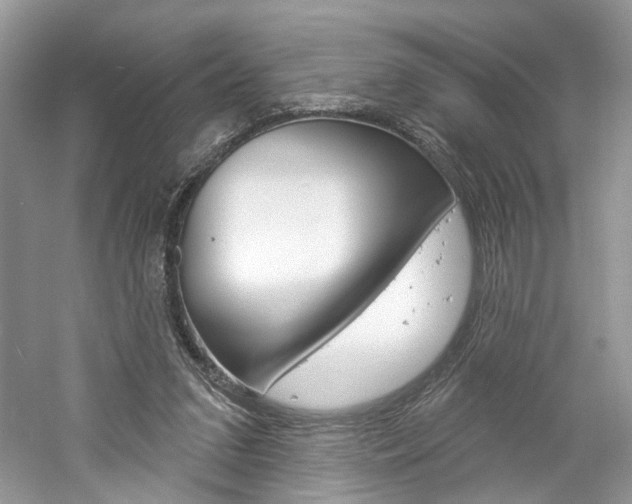 X0000061100207200511180916