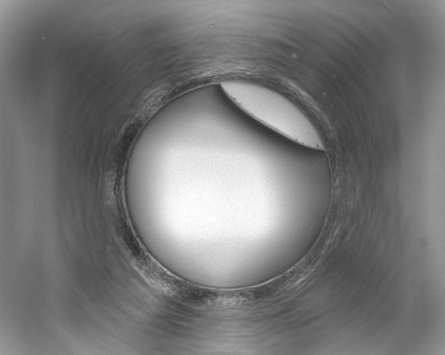 X0000061100209200511180916
