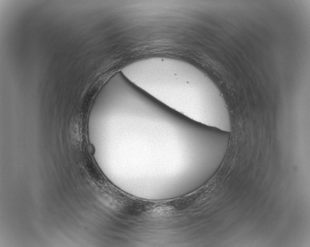 X0000061100210200511180916