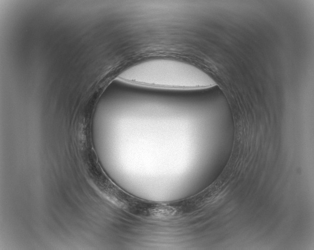 X0000061100215200511180916