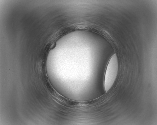X0000061100217200511180916
