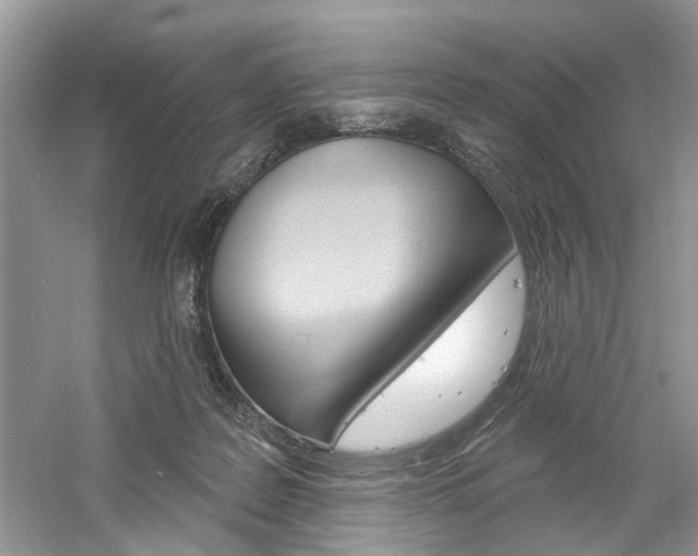 X0000061100219200511180916