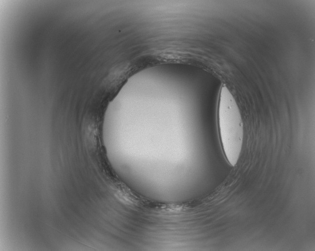 X0000061100235200511180916