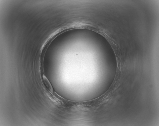 X0000061100244200511180915