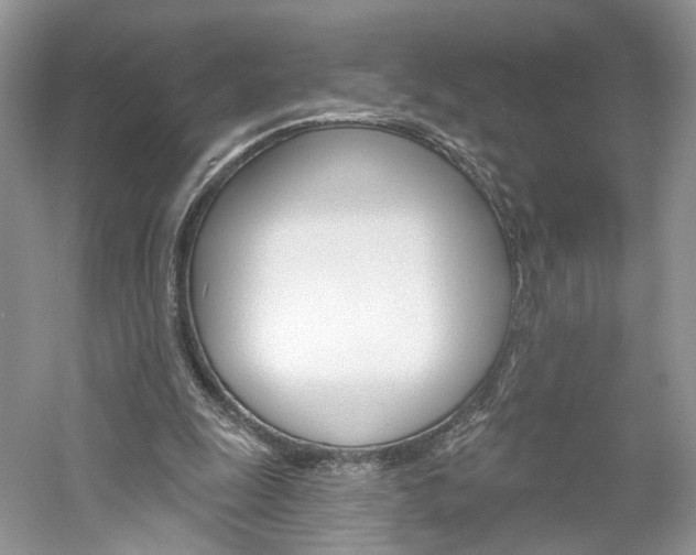 X0000061100247200511180915