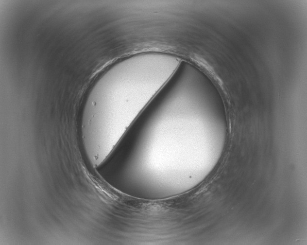 X0000061100249200511180915