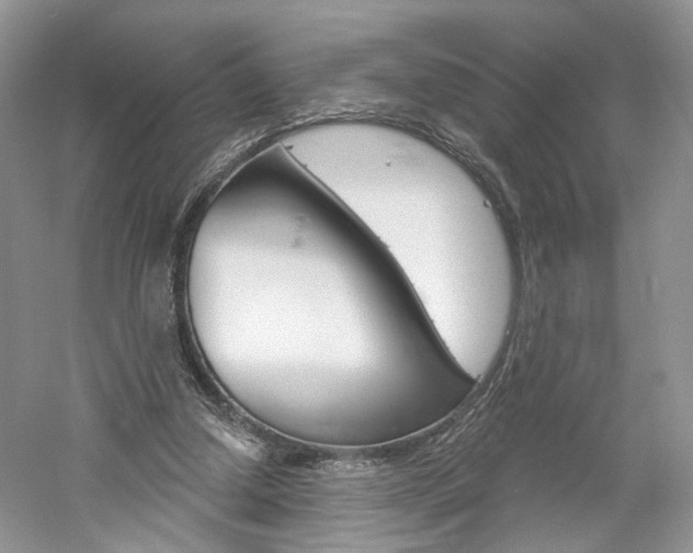X0000061100250200511180915