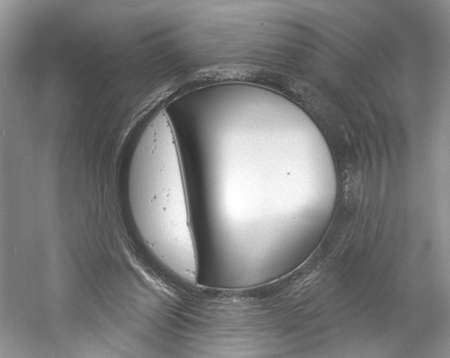 X0000061100254200511180915