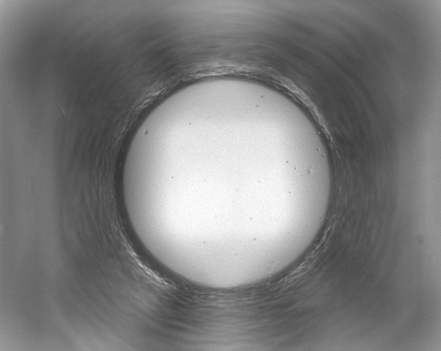 X0000061100257200511180915
