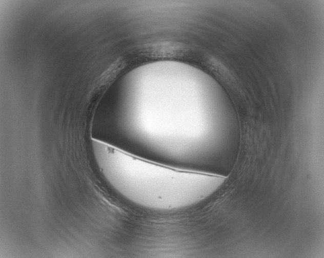 X0000061100258200511180915