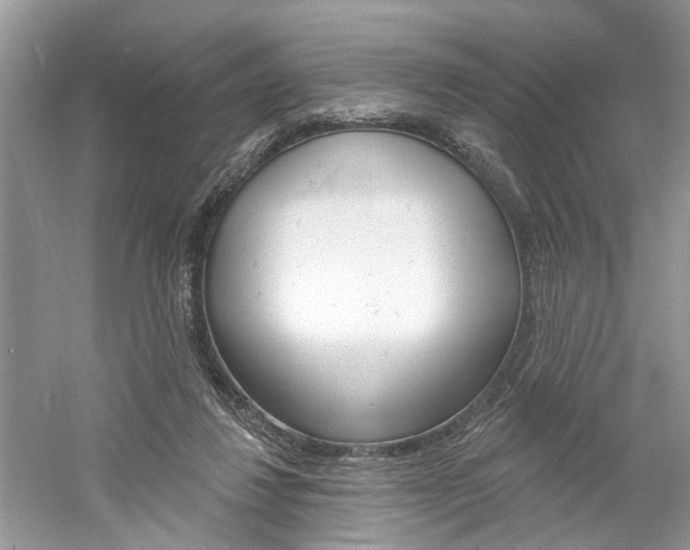 X0000061100260200511180915