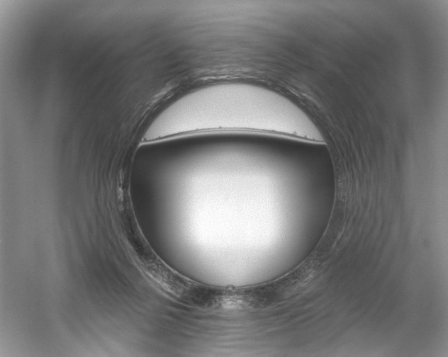 X0000061100264200511180915