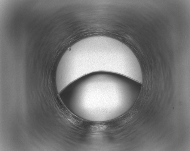 X0000061100266200511180916