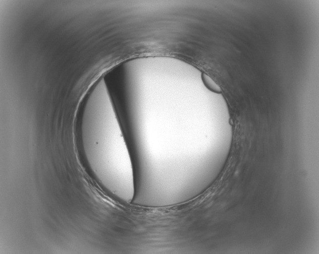 X0000061100290200511180915