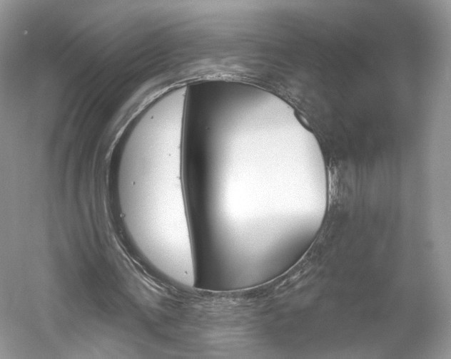 X0000061100291200511180915