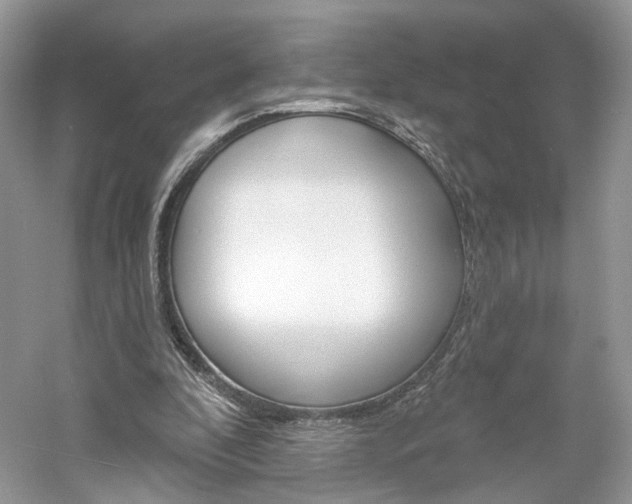 X0000061100296200511180915