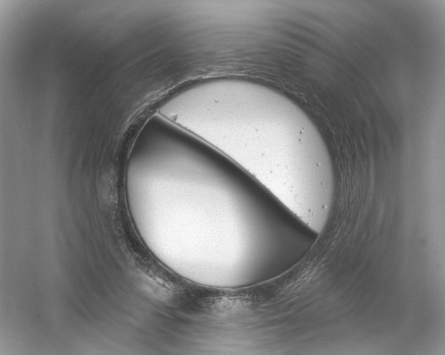 X0000061100303200511180915