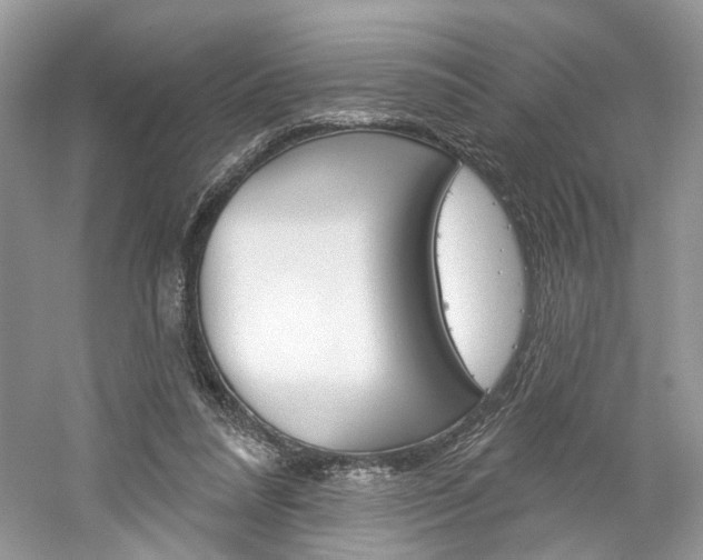 X0000061100304200511180915