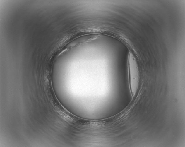 X0000061100305200511180915