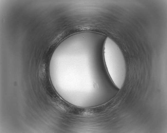 X0000061100308200511180915