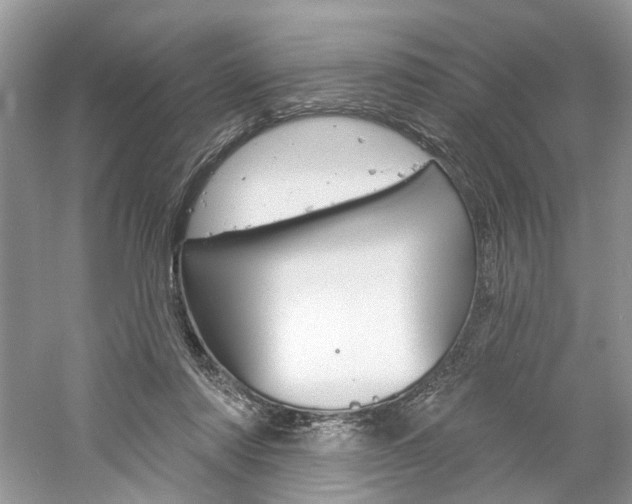 X0000061100310200511180915