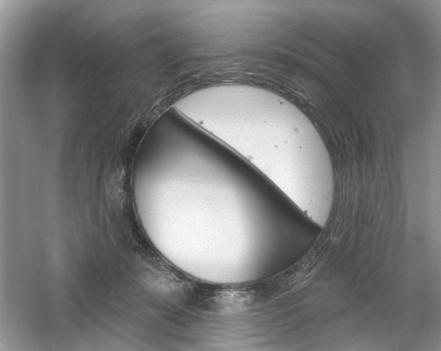X0000061100319200511180915
