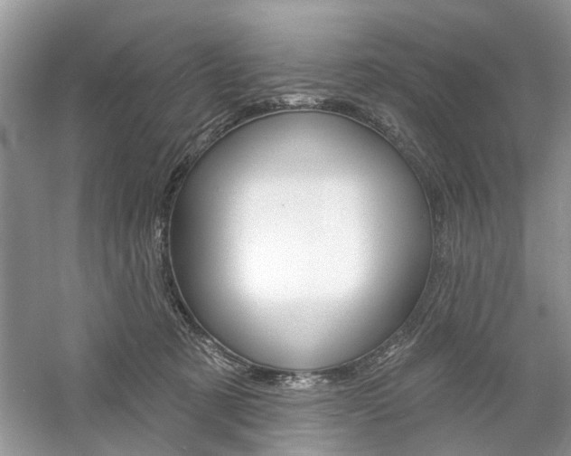 X0000061100321200511180915
