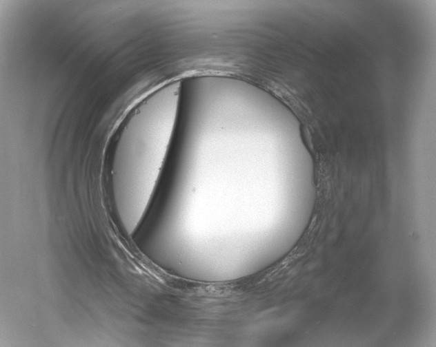 X0000061100338200511180913