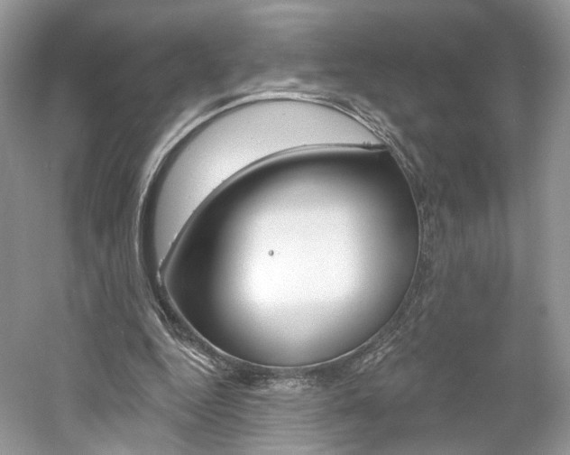 X0000061100344200511180914