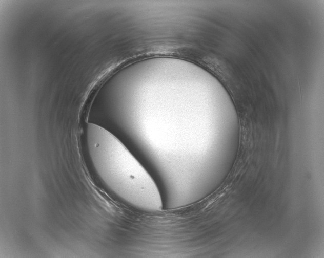 X0000061100346200511180914