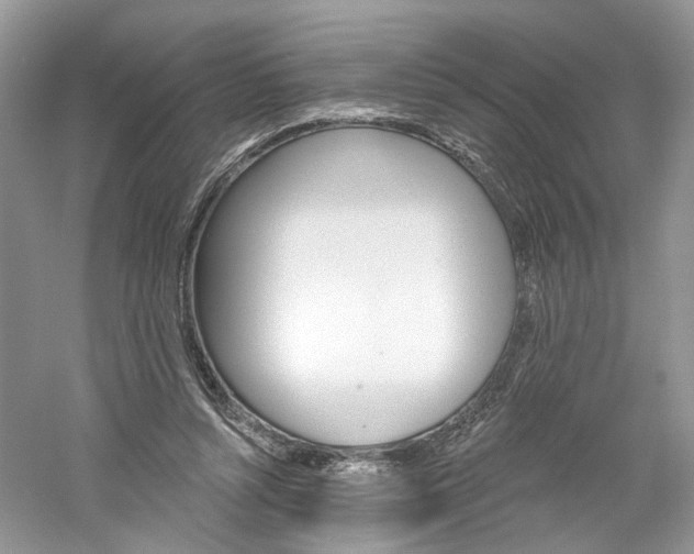 X0000061100352200511180914