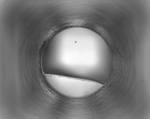 X0000061100354200511180914