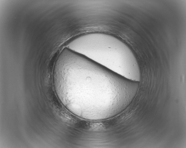 X0000061100355200511180914