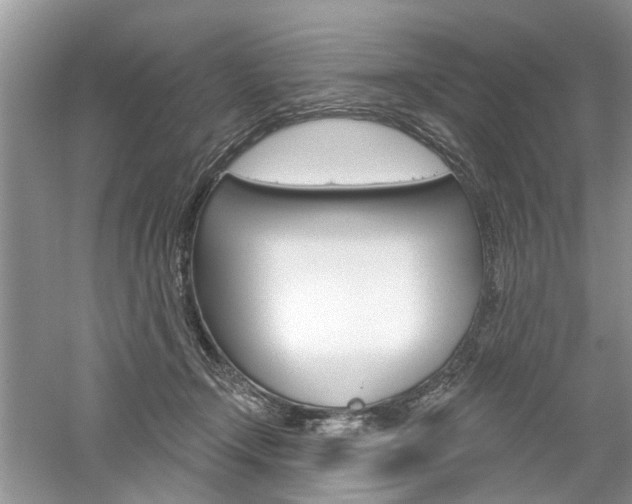 X0000061100366200511180914
