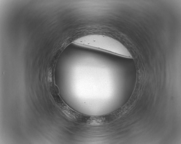 X0000061100368200511180914