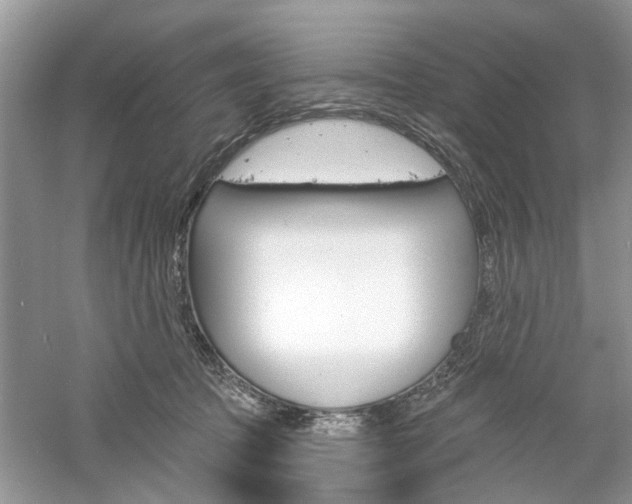 X0000061100369200511180914