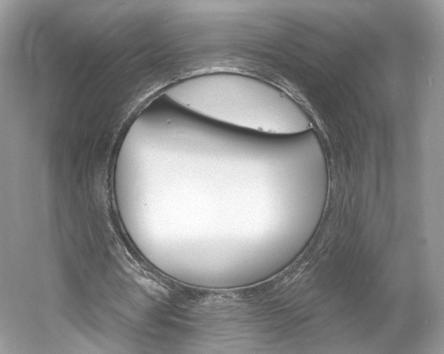 X0000061100386200511180913
