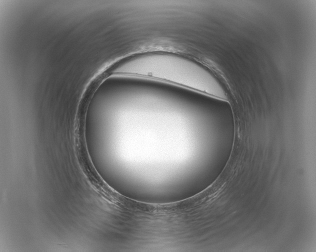 X0000061100388200511180913